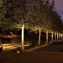 Wolketon Onlineshop Günstig Kaufen 10x Runde LED Panel Farbwechsel 3 in 1 Einbauleuchte Deckenstrahler