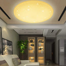 50W Runde LED-Deckenleuchte mit Starlight-Effekt(Warmweiß) Vingo